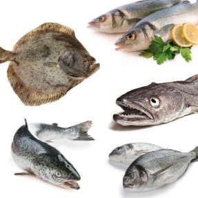 Pack 2 especial pescado 