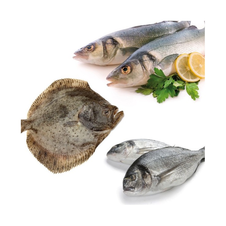 Pack Especial pescado Cultivo Pack Especial pescado Cultivo